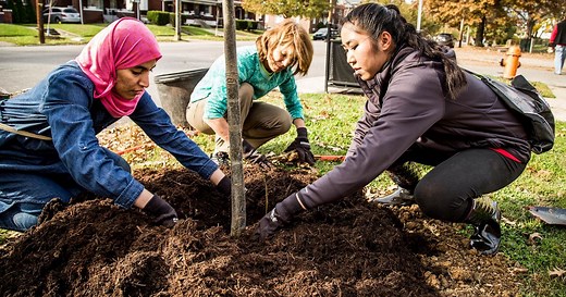 Green Heart Louisville Project