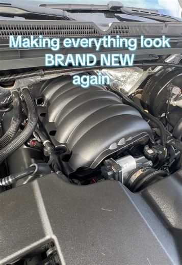 SUPER clean engine bay for less than $30! Not a paid sponsorship and no links to sell you stuff, only putting you on game🔥🥵 @Meguiar’s #detailing #carsoftiktok #detailingcars #meguiars #trucktok