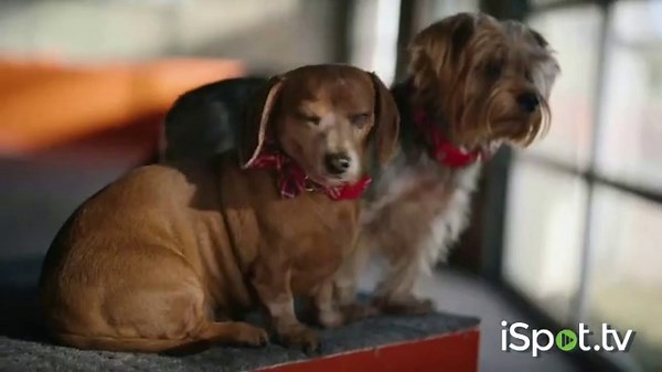 LifeProof with Petproof Technology TV Spot, 'The Extreme Test'