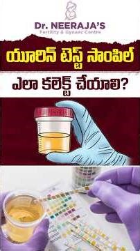 How to Collect Urine Test Sample? | How to Collect Urine Sample Properly | Dr Neeraja