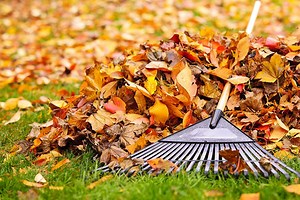 Farmington Leaf Collection Ends, Holiday Waste Collection Schedule
