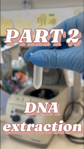 Laura Nassar on Instagram: "Using a Nanodrop spectrophotometer, I can then precisely measure the concentration of purified DNA🧬 This is an important step even though it wasn’t shown in the video 🧪 This firstly ensures the procedure was successful, but also allows me to understand what volume of purified DNA is needed for subsequent experiments! • • • • • #genetics #dnaextraction #microbiology #gradstudent #postgrad #student #biology #research"
