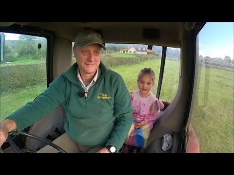 22/10/23 Grass seeds are up, and bales for the cattle with Millie.