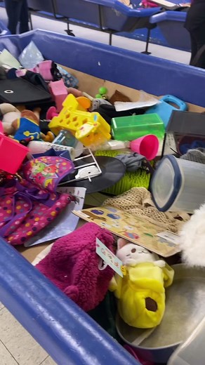 Best Goodwill Outlet Bin Days for Toy Collectors