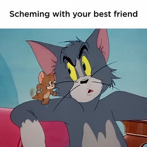There's nothing better than a flawless plan | Tom and Jerry