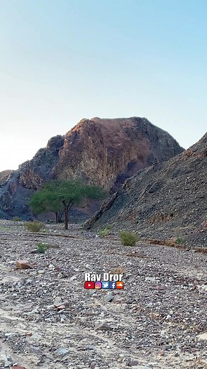 11K views · 135 reactions | Kabbalah and the secrets of the Torah teach that our bodies are vehicles of our souls. When a person realizes this, they can work to develop spiritual growth. #kabbalah | Rav Dror | Facebook