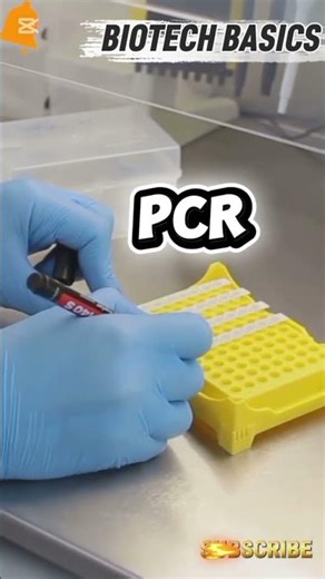 How Long Does DNA Fingerprinting REALLY Take? | Truth vs Crime Shows #criminalcheck #identifytheft