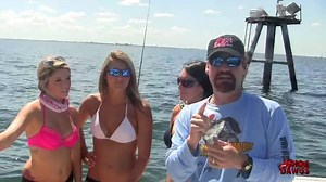 38K views · 138 reactions | Don't let our name Hog Dawgs fool you...it's not just about hogs. Watch and see SHARKS-Hog Dawgs Style. Captain Joel Brandenburg of Ana Banana Fishing Co. and Wade Boggs, Major League Baseball Hall of Fame, hosted Hog Dawgs for the Black Tip Shark Shootout, Apollo Beach, Florida, benefiting the Pediatric Cancer Foundation. | Hog Dawgs | Facebook