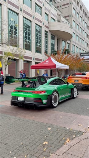 Grinch Porsche | #cars #christmas #carlover #porsche #automobile