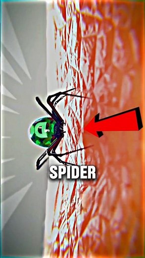 What Happens If You Get Bitten by a Radioactive Spider ‼️😳