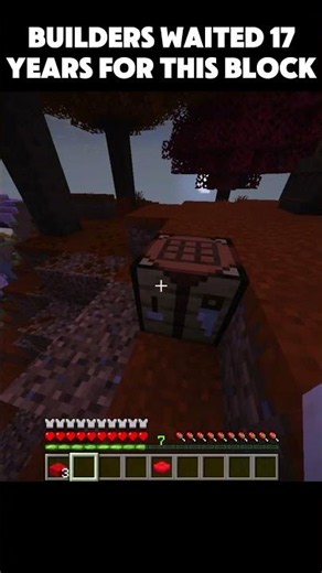 Builders Waited 17 Years For This Block... 🤯