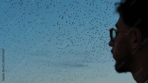 Flock of birds flaying in the sky at blue hour, describing beautiful patterns as a person makes gesture towards them