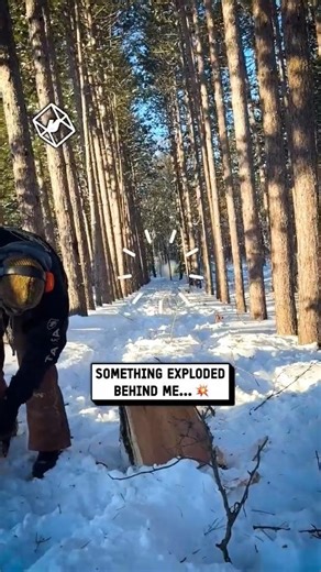 I thought I heard fireworks... 😭 #trees #explosion #nature