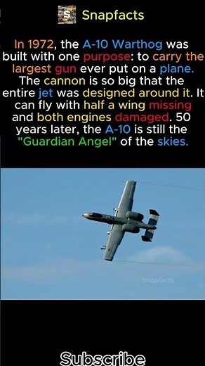 The Jet Built Around a Gun ✈️ - A 10 Warthog #shorts