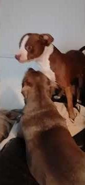 buddy n Lillian dont stop