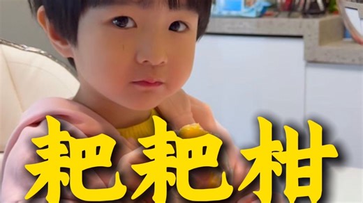 你们是不是也在吃 12 月底前的耙耙柑