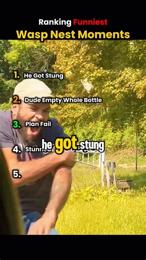 Ranking Funniest Wasp Nest Moments