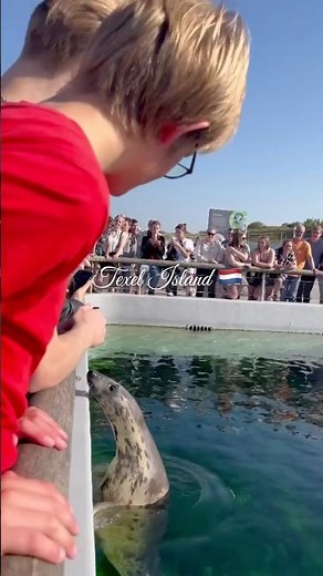 You Won’t Believe This Hidden Dutch Island! 🇳🇱🌊 | Texel Island Netherlands #shorts