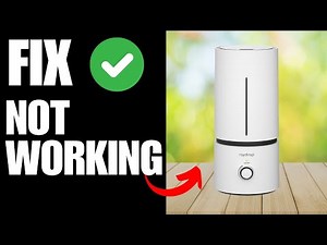 Raydrop Humidifier Not Working - How To Fix