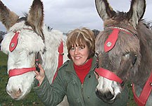 Donkey rides to return to an Essex beach after 20 year absence - Horse & Hound
