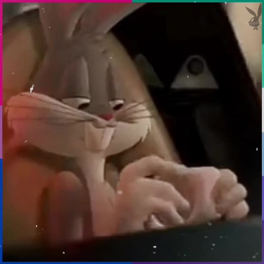 Bugs and Daffy - Looney Tunes Back in Action Love Story