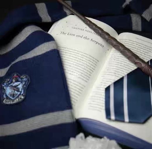 i thought these lyrics fit the hogwarts houses #harrypotter #ravenclaw #hufflepuff #gryffindor #slytherin