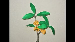 花【折り紙アート】キンモクセイを作ってみた。☆EASY  Origami make fragrant olives☆ – ninntou origami