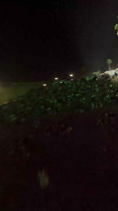 29K views · 145 reactions | Peggy Gou with the bangers at this year's @panoramafestival_ 勞  via Panorama Festival | DJ Mag | Facebook