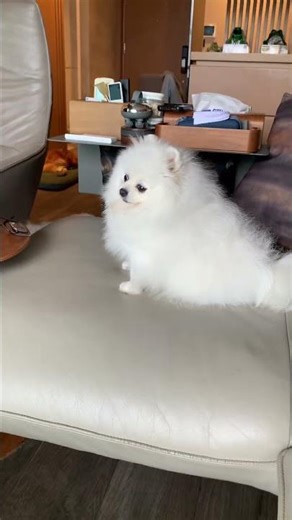 Weather update (Hongkong )