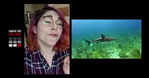 Watch what happens when a deep sea shark hunts without light