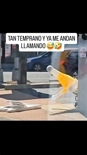 🍻 | GIF Animados