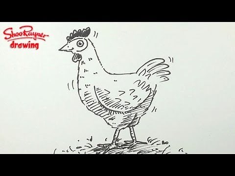 How to draw a chicken - spoken tutorial