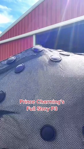 Rehabbing Prince Charming: A 12-Month Journey | Equine Rehab Explained