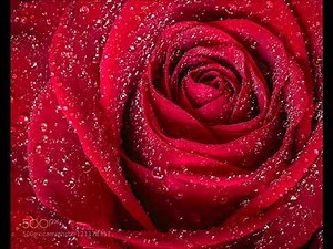 Release me Guitar Instrumental