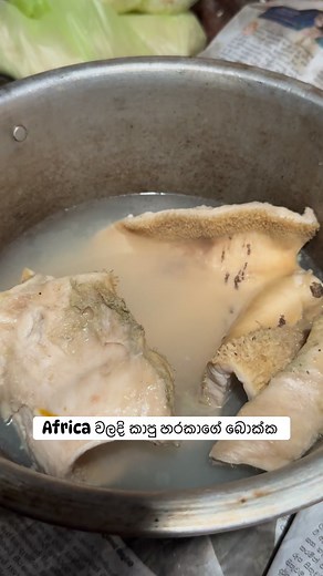 They ate a cow’s mouth in Africa! 🐄🔥 Unbelievable food experience! #africanstreetfood #cowmeat #foodculture #africanfood | Sea to Street