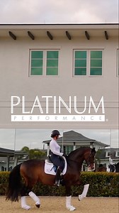For the love of the horse. 💙 #platinumperformance #itstartswithin #equinehealth #horsehealth #equinenutrition #horsenutrition #healthyhorses | Platinum Performance