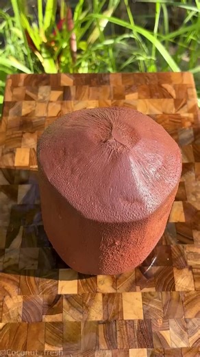 The Mesmerizing Color of Coconut Water