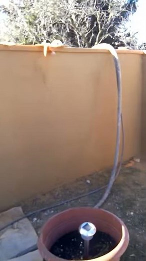 Plein sud crépis finition projection finition