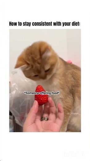 How to stay consistent with your diet 🙂‍↔️