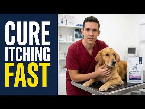 5 Best Dog Food for Allergies to Stop Itching Today 