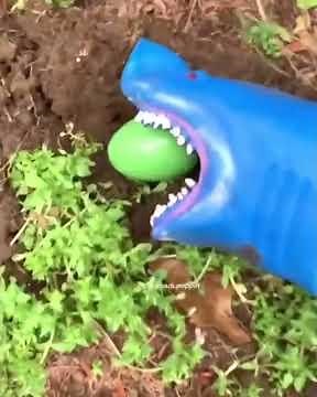 Shark Puppet Easter Egg Hunt