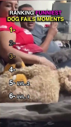 RANKING FUNNIEST DOG FAILS MOMENTS 🐶😂
