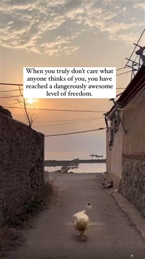 270K views · 5.3K reactions | Free yourself from the chains of opinion! ⛓️ When you stop needing approval, you unlock incredible freedom. Live authentically and chase your dreams, unburdened by judgment. 殺 CTTO #freedom #selfloveisthebestlove #beyourself | Project Yourself | Facebook