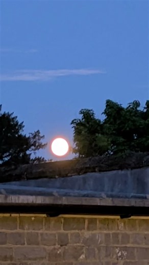 Beautiful Moon Rise