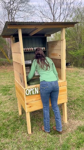 Egg Stand Cooler: Creative Farm Stand Ideas