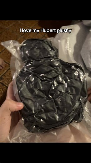 HAHAHAHAHAA #Hubert #Hubert3008 #fyp #3008 #plushy 🤑 | Plushy