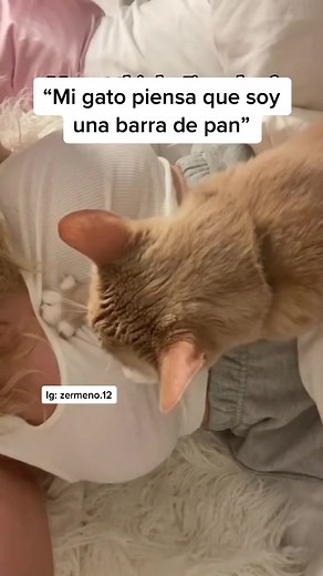 #pegar un video de @stevilou mandame DM en insta y nos hacemos amigos Ig: zermeno.12
