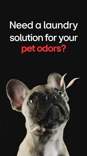 Say Goodbye to Pet Odors with LG AIDD™ Frontload Washing Machine