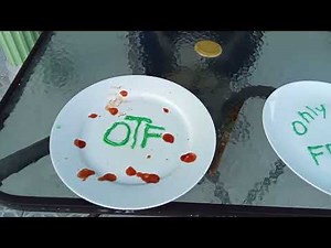 Joshua Browne - Cuban Tree Frog Song (music video)(Prod. by llouis)