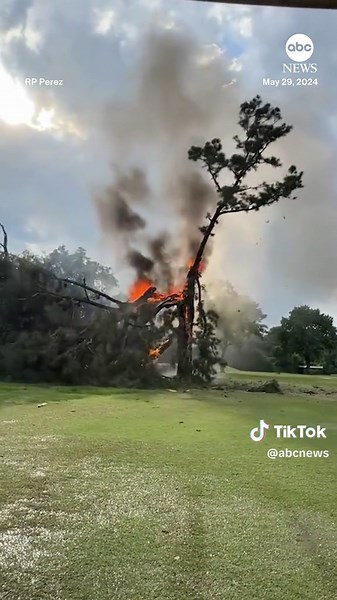A tree caught fire, set ablaze, and fell apart on a Texas golf course after being hit by a lightning strike as a storm passed through. #storm #weather #news #abcnews